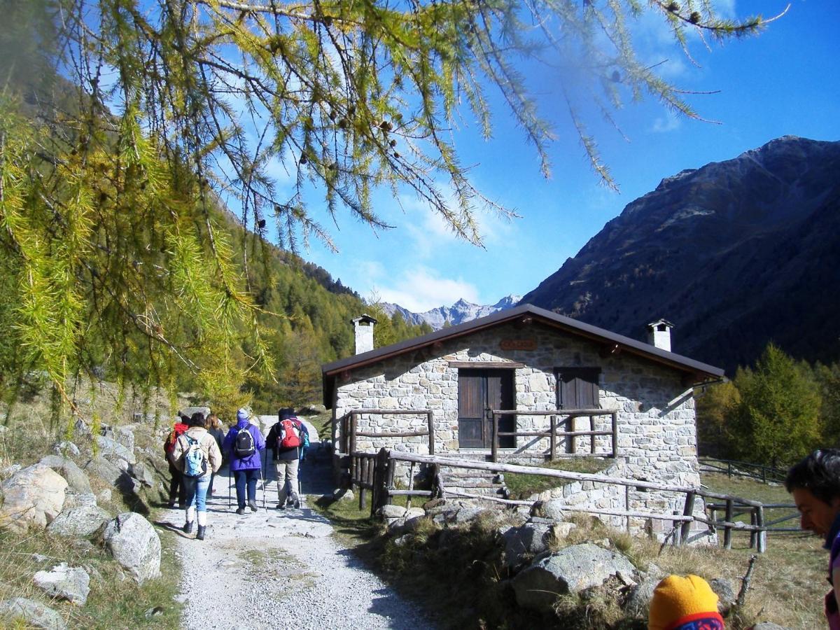 Hostel Casa Del Parco Dell'Adamello Di Vezza dʼOglio Exterior foto
